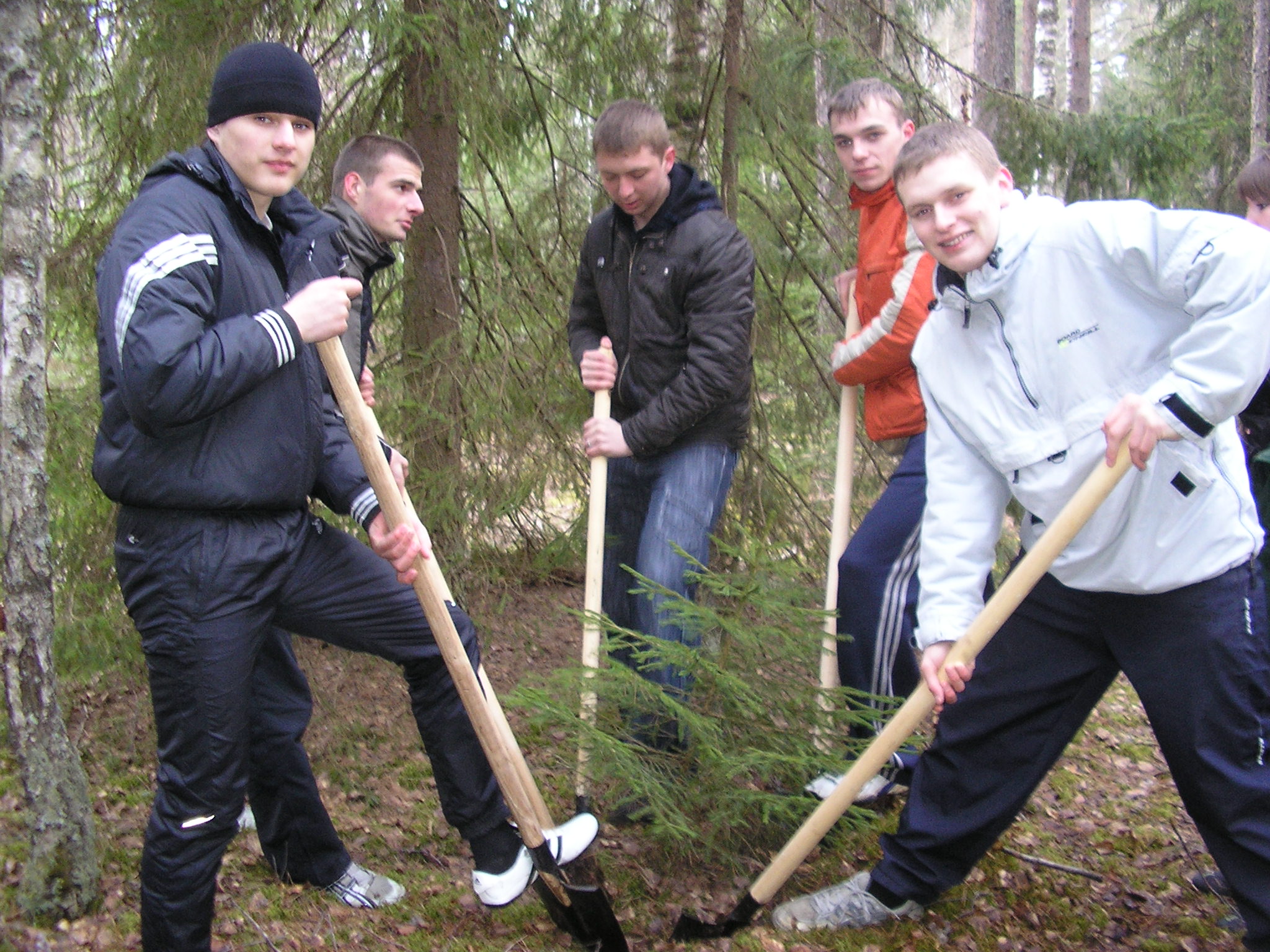 Посадка деревьев в лесопарковой зоне Оршанского района учащимися группы 209